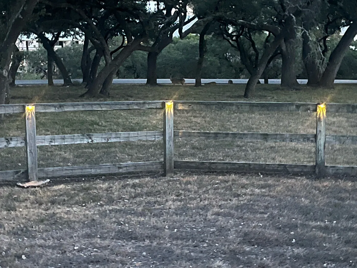 Row of wooden fence posts at dusk with warm Mancra solar lights shining down